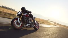 Gallery - immagine 4#