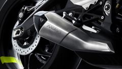 Gallery - immagine #14