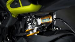 Gallery - immagine #17