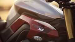 Gallery - immagine #21