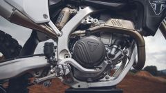Gallery - immagine 10#