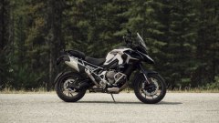 Gallery - immagine 3#