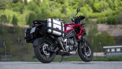 Gallery - immagine 3#