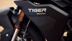 Gallery - immagine 7#