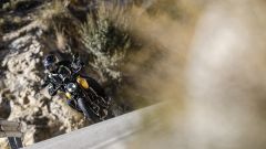 Gallery - immagine 3#