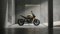 Gallery - immagine 3#