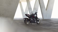 Gallery - immagine 10#