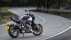 Gallery - immagine 8#