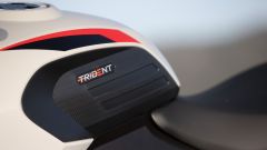 Gallery - immagine #14