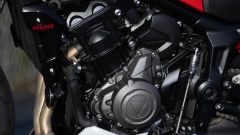 Gallery - immagine #13