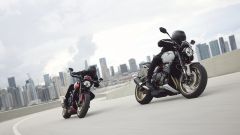 Gallery - immagine 6#