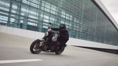 Gallery - immagine 3#