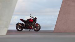 Gallery - immagine 9#