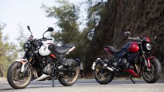 Gallery - immagine 10#