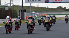 Gallery - immagine 2#