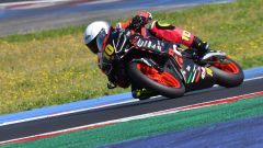 Gallery - immagine 6#