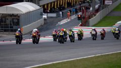 Gallery - immagine 2#