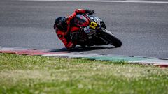 Gallery - immagine 4#