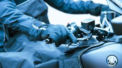 Gallery - immagine 11#