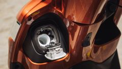 Gallery - immagine 8#