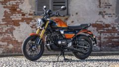 Gallery - immagine 2#