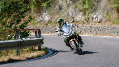 Gallery - immagine 5#