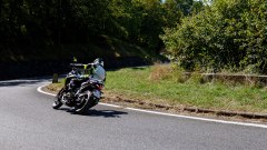 Gallery - immagine 6#