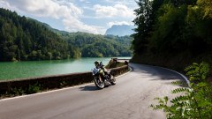 Gallery - immagine 7#