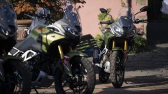 Gallery - immagine 8#