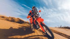 Gallery - immagine 5#