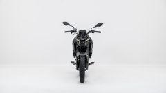 Gallery - immagine 2#