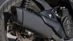 Gallery - immagine #19