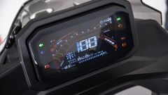 Gallery - immagine 2#