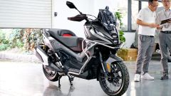 Gallery - immagine 6#