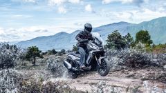 Gallery - immagine 4#