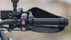 Gallery - immagine 3#