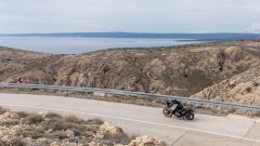 Gallery - immagine #21