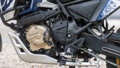 Gallery - immagine 11#