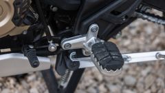 Gallery - immagine 9#