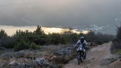 Gallery - immagine #18