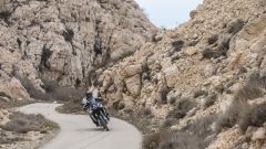 Gallery - immagine #19