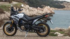 Gallery - immagine 2#