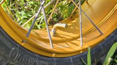 Gallery - immagine 10#