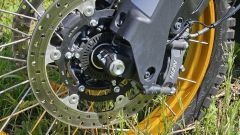 Gallery - immagine 5#