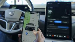 Gallery - immagine 7#