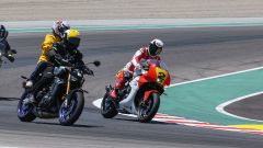 Gallery - immagine 4#