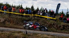 Rally Cile 2025: aggiornamenti ultima giornata