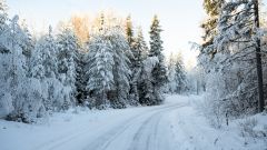 Gallery - immagine 2#