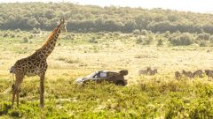 Rally Kenya 2026: iscritti, percorso e tutte le info