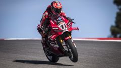 Bulega, la MotoGP nel mirino: "Stiamo parlando con alcuni team"